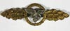 Luftwaffe Transport Clasp in gold