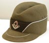 Reichs Arbeit Dienst (RAD) officer's Robinhood style dienstmutze hat