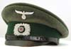 Land Customs enlisted visor 