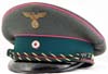 Justice official's visor