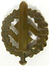 SA Sports Badge