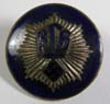 RLB (Reichsluftschultzverbande) personnel enamel  lapel pin