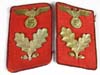 Gau level Political Leader collar tabs