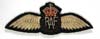 Royal Air Force World War II embroidered pilot wings