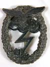 Luftwaffe  Ground Assault badge
