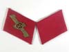 Very rare SA Feldherrnhalle collar tabs matched set