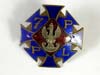 7 Infantry Polish Regimental Badge