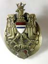Crowned Eagle Polish Regimental Badge