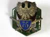 Symbol 75 Polish Regimental Badge