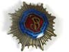 376rd Poland Polish 1st light horse Reg Badge