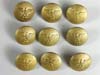 Gold NSDAP Eagle Buttons