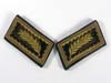 RAD Gerneralarbeitsf�hrer matched collar tab set