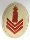 Kreigsmarine Summer Heavy Artillery Gun Chief Specialty 