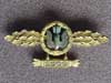 Luftwaffe Frontflug Spange fur Kampfflieger ( Bomber) in gold with 1300 combat missions pendant